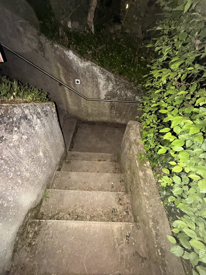 Foto 4 von Schaffhausen