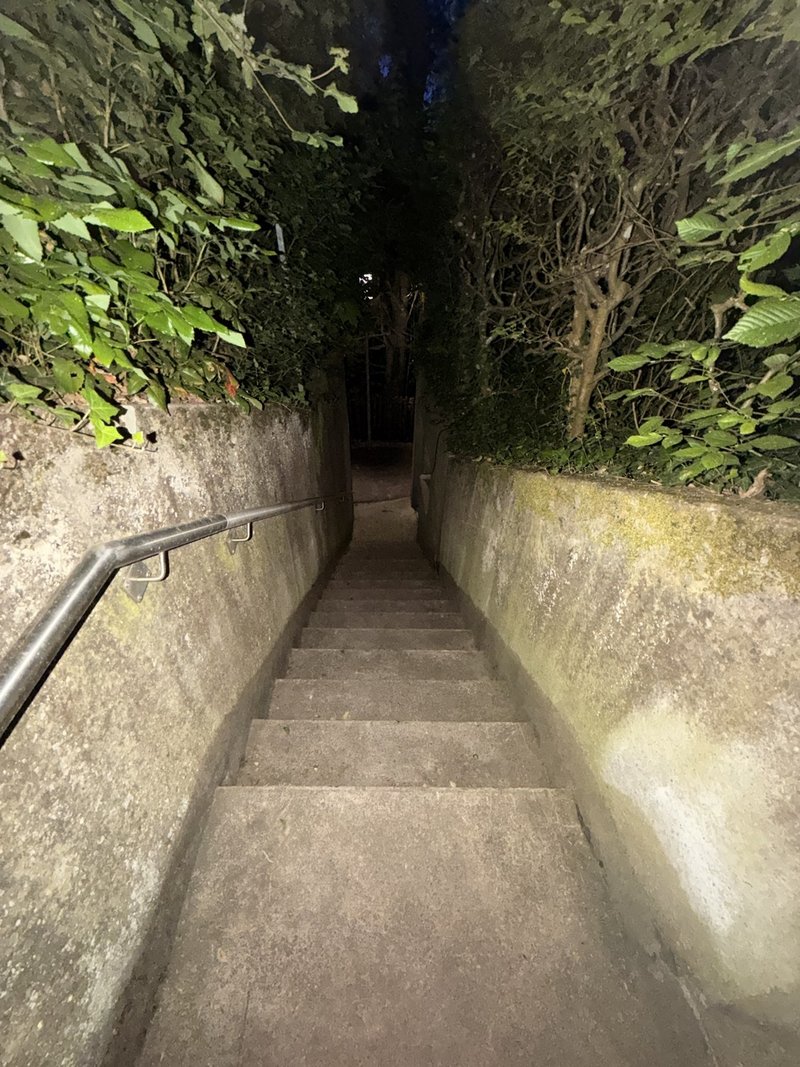 Foto 6 von Schaffhausen