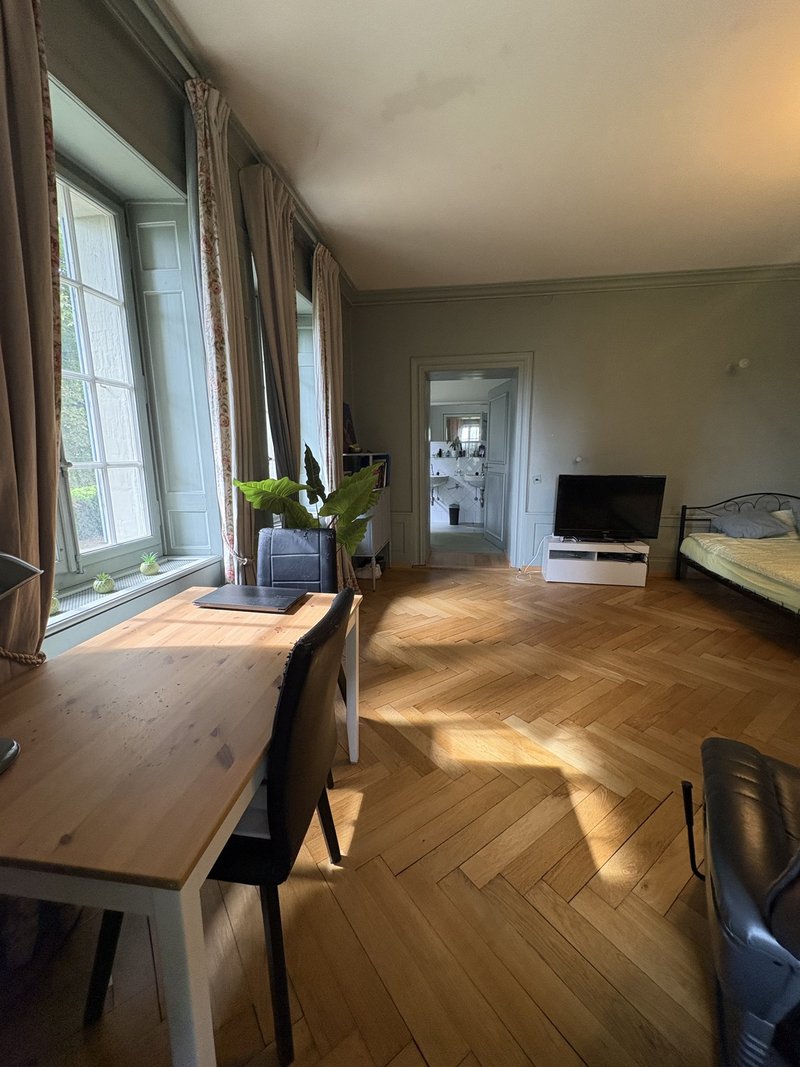 Photo 8 of Schloss 2, Tentlingen