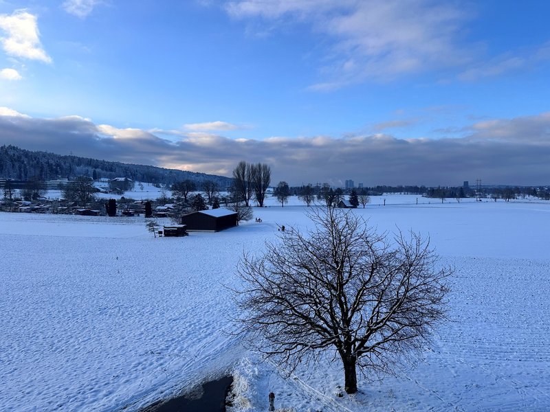 Photo 8 of Fällanden