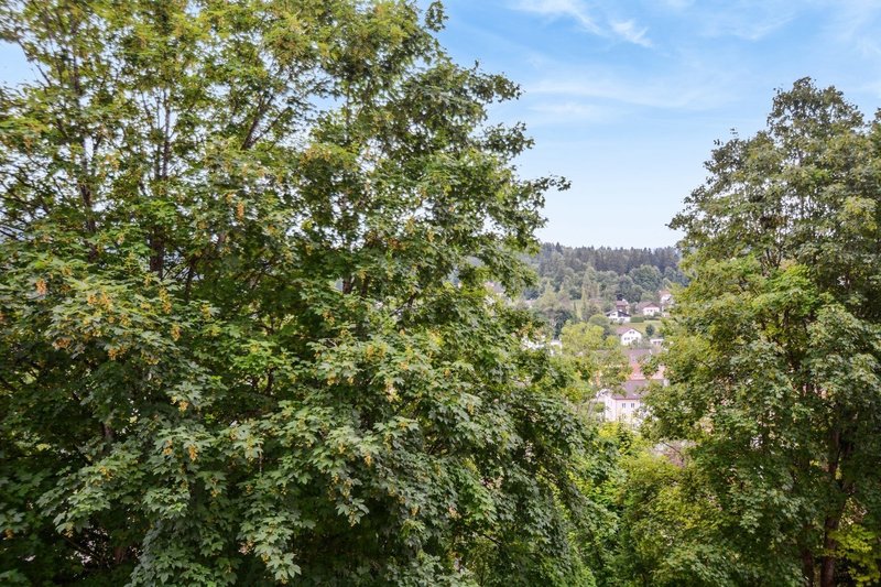 Photo 3 of Georges-Perrenoud 36, Le Locle