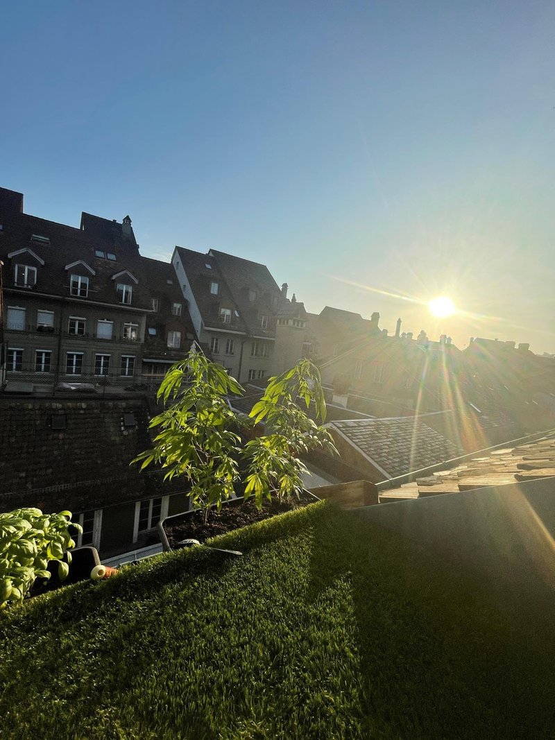 Foto 2 von Rathausgasse, Bern
