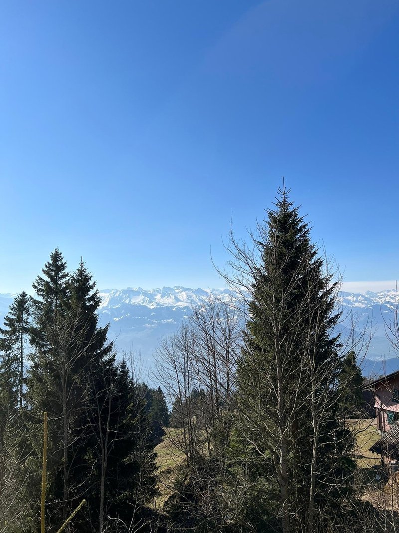 Foto 8 von Rigi-Kaltbad