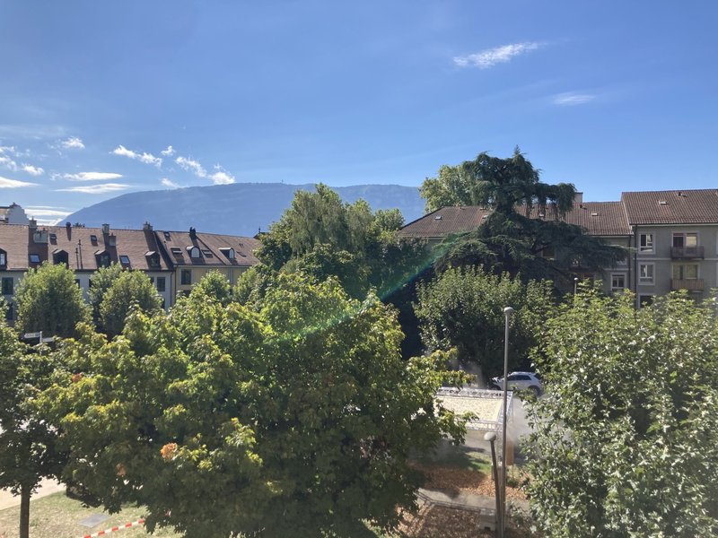 Foto 2 von Carouge