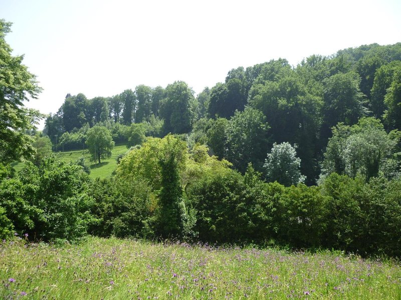 Foto 2 von Sur demande, Romainmôtier