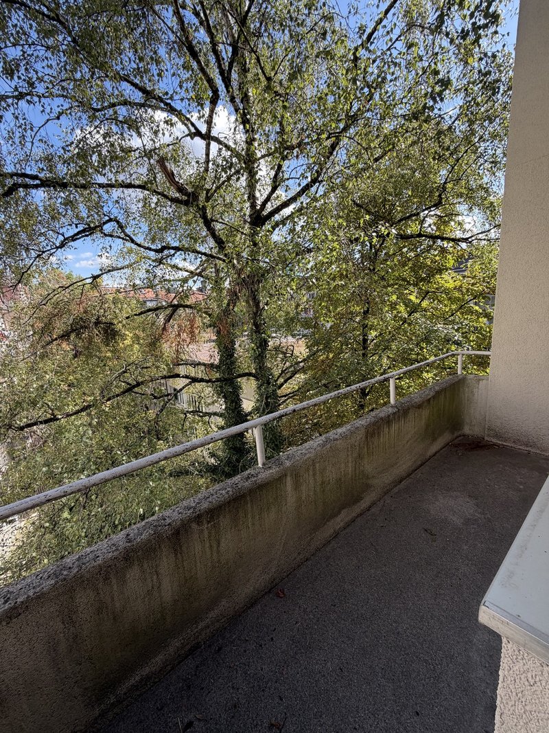 Foto 3 di Eichbühlstrasse 66, Zürich