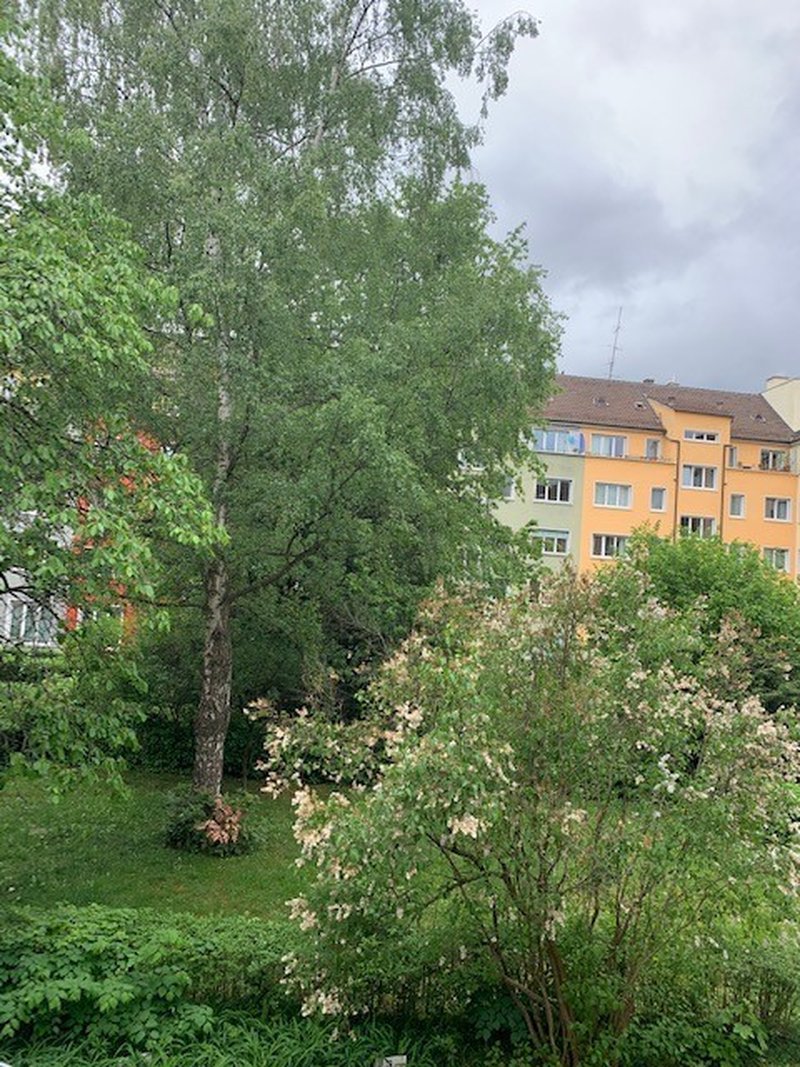 Foto 6 di Zürich
