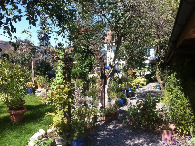 Foto 4 di Winkel 10, Reitnau