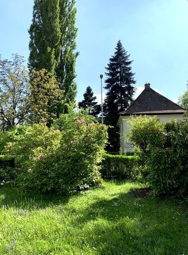 Foto 8 di Wettingen