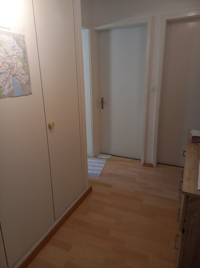 Photo 5 of Luegislandstrasse, Zurich