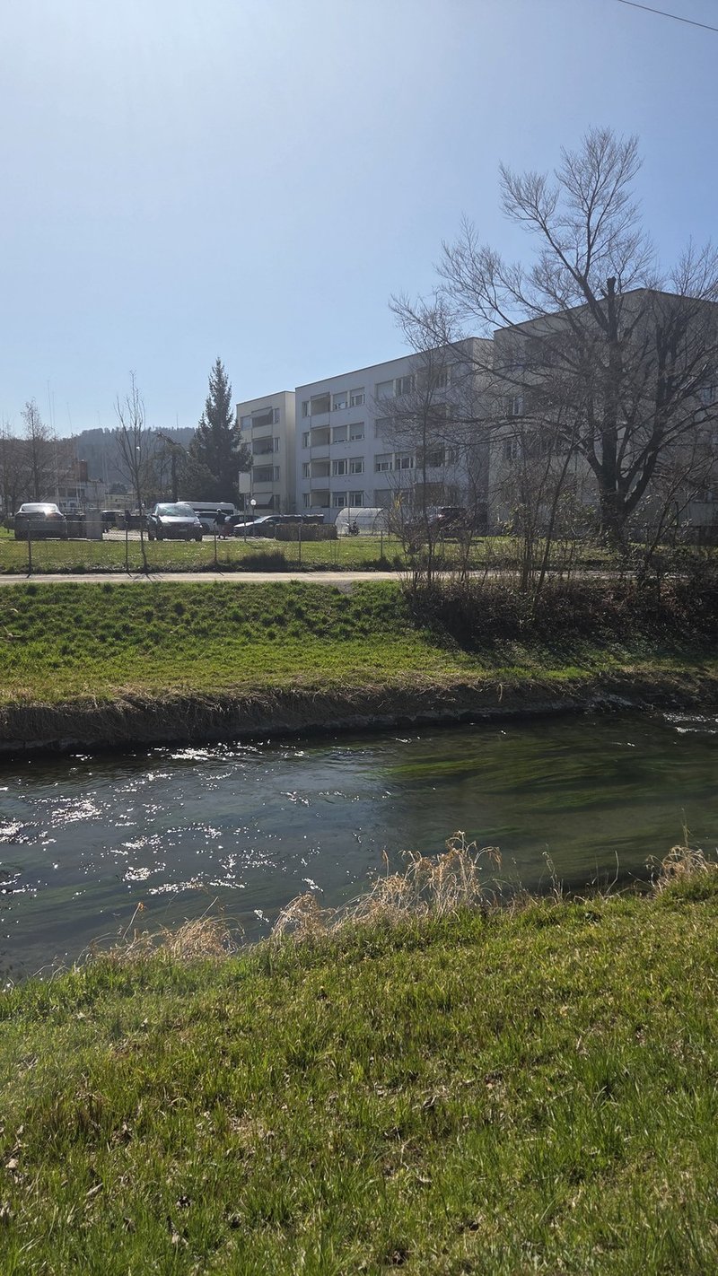 Photo 2 of Zurich