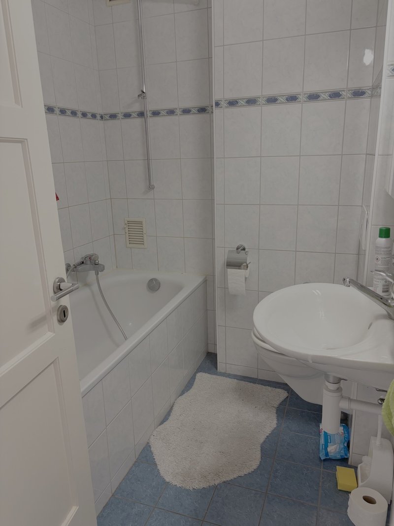 Foto 6 di Rue Frédéric-Chaillet 6, Fribourg