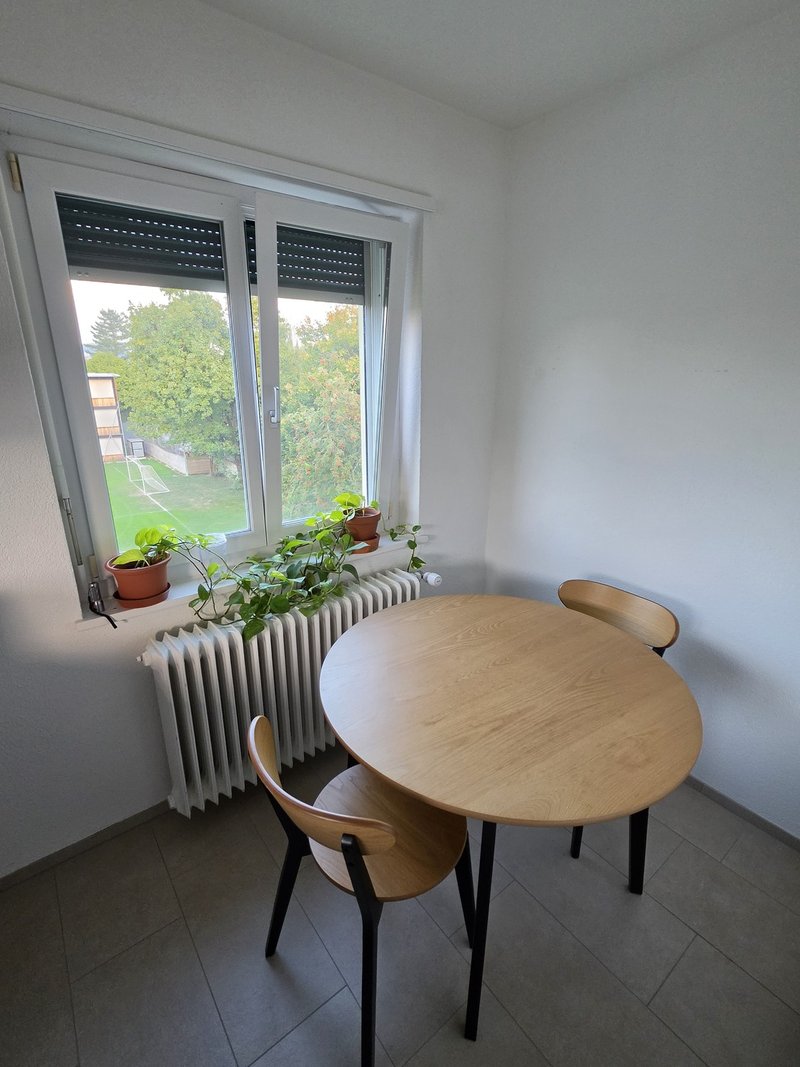 Photo 7 of Schweighofstrasse 406, Zürich