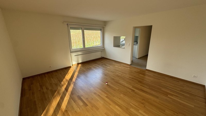 Photo 3 of Lenggstrasse 24, Zürich
