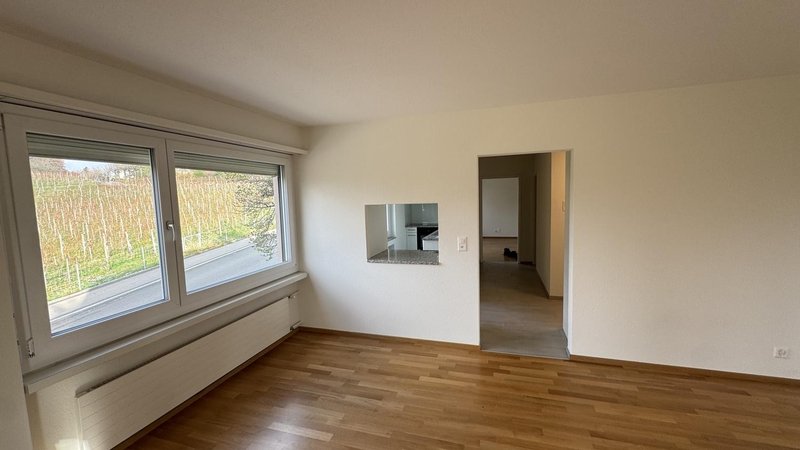 Photo 4 of Lenggstrasse 24, Zürich