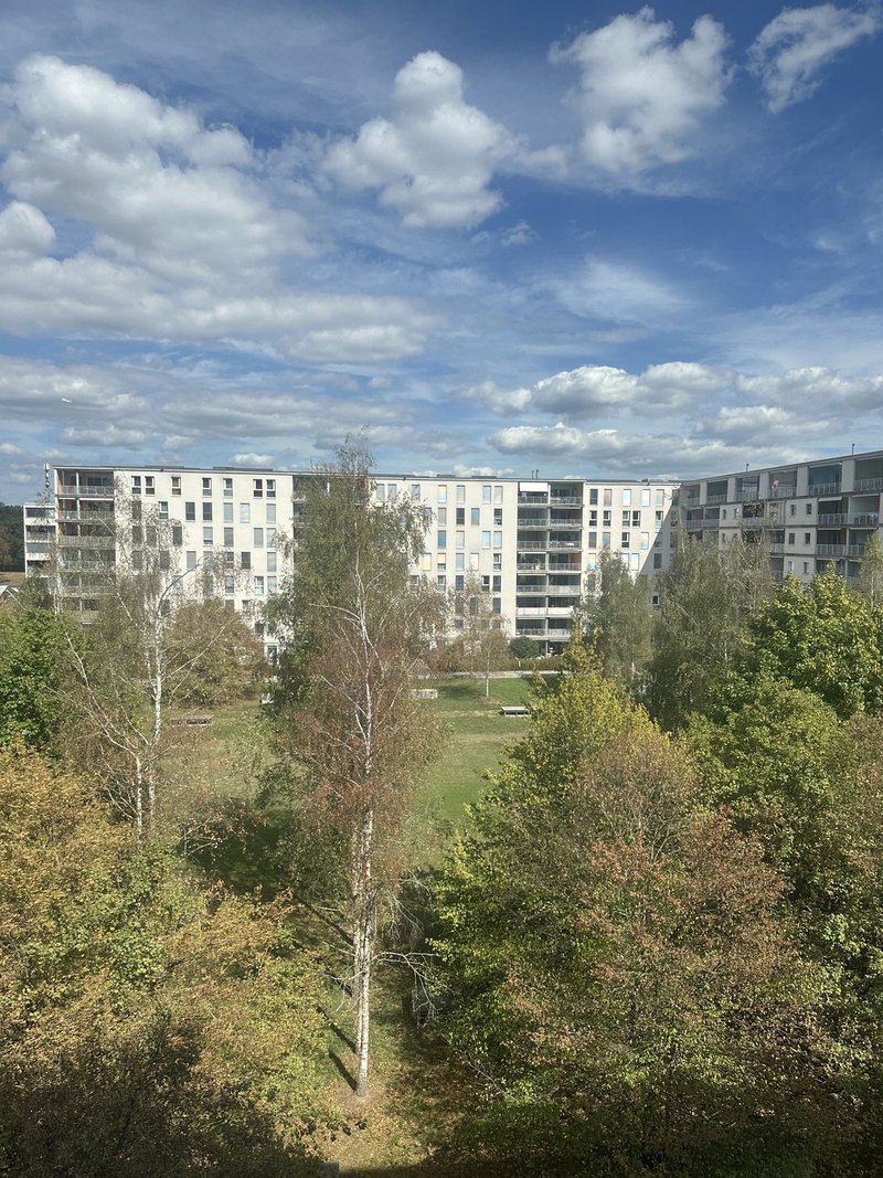 Foto 5 di Michael Maggi Strasse 20, Zurich