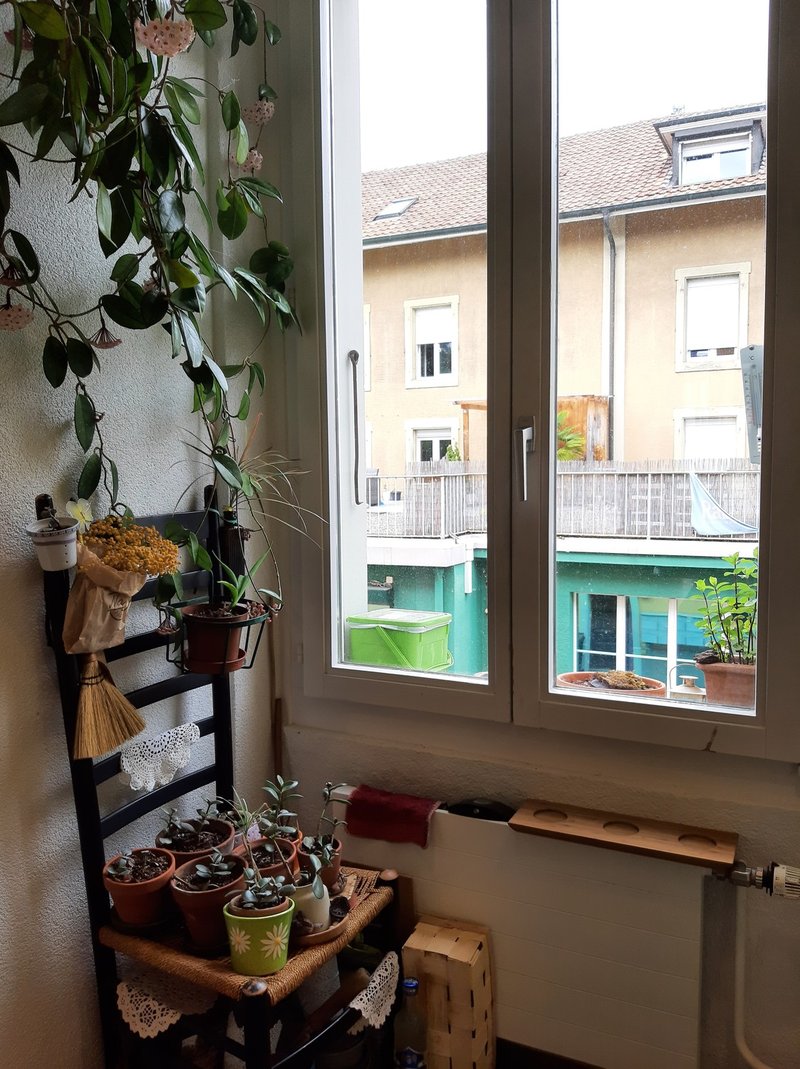 Photo 6 of Bern