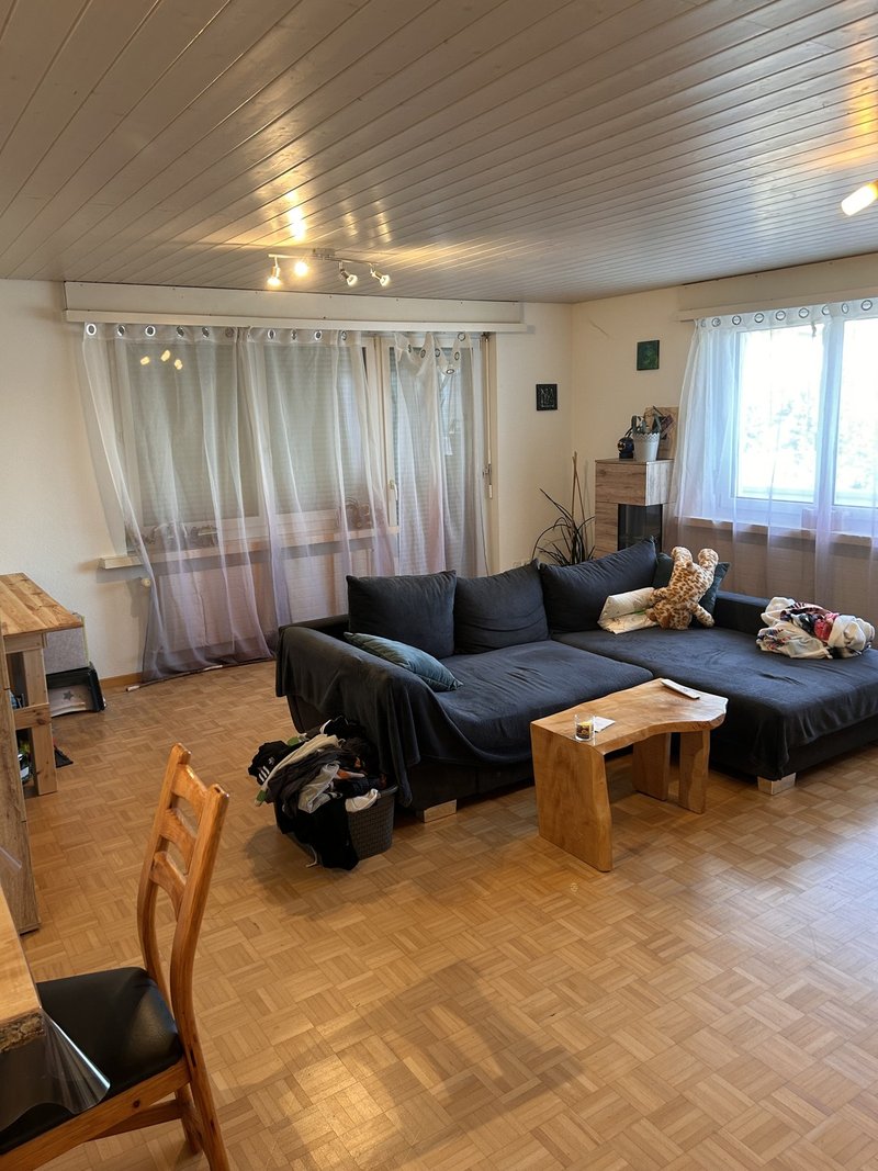 Photo 8 of Hauptstrasse 47, Bronschhofen