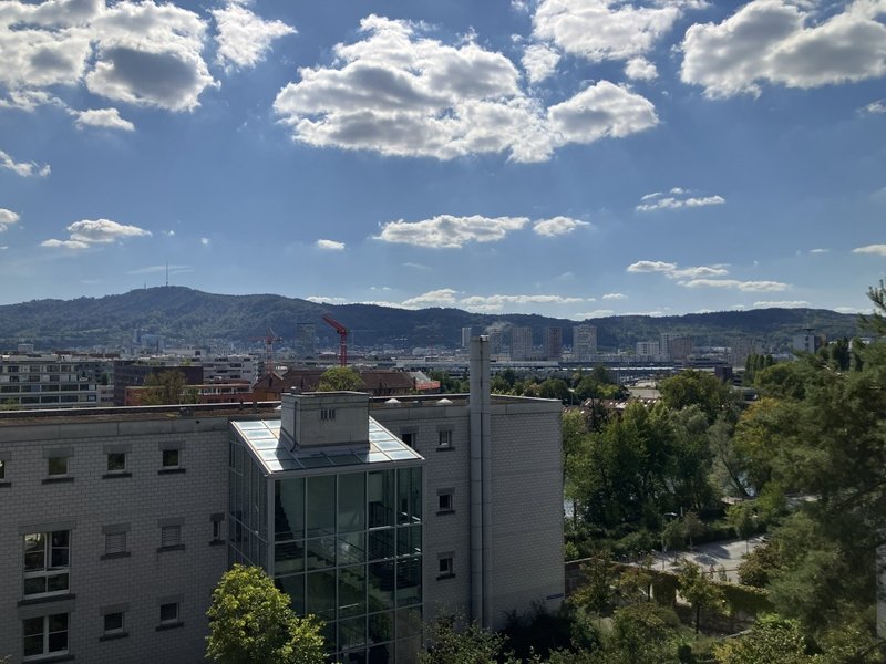 Foto 4 di Kempfhofweg 14, Zürich