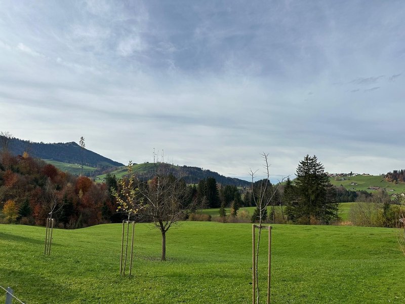 Photo 5 of Dorfstrasse 25, Haslen