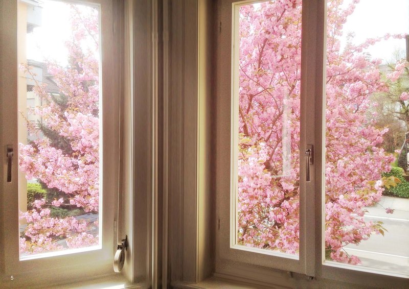 Foto 6 di Weltistrasse 6, Zürich