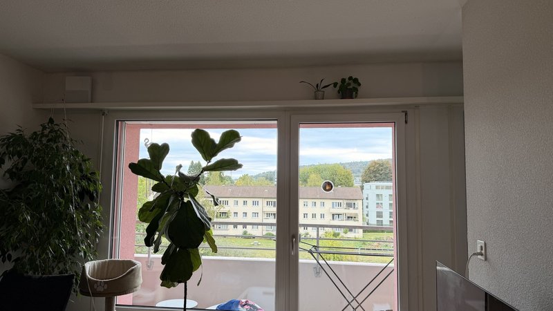 Foto 2 di Birchstrasse 26, Zürich
