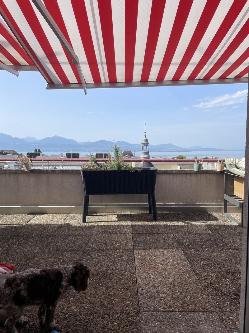 Foto 4 di Rue de L’Ale, Lausanne