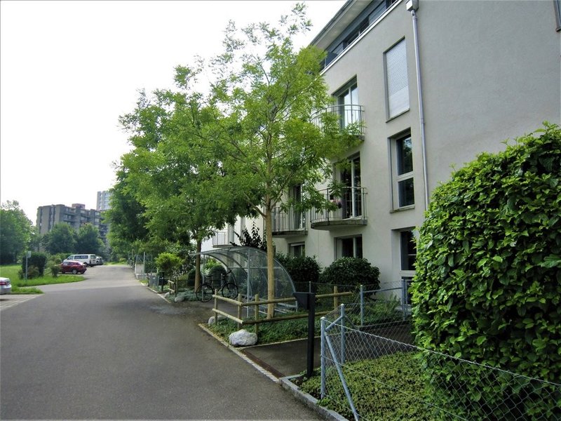 Foto 1 von Wabern