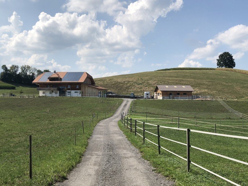 Foto 3 di Bühl 401, Uetendorf