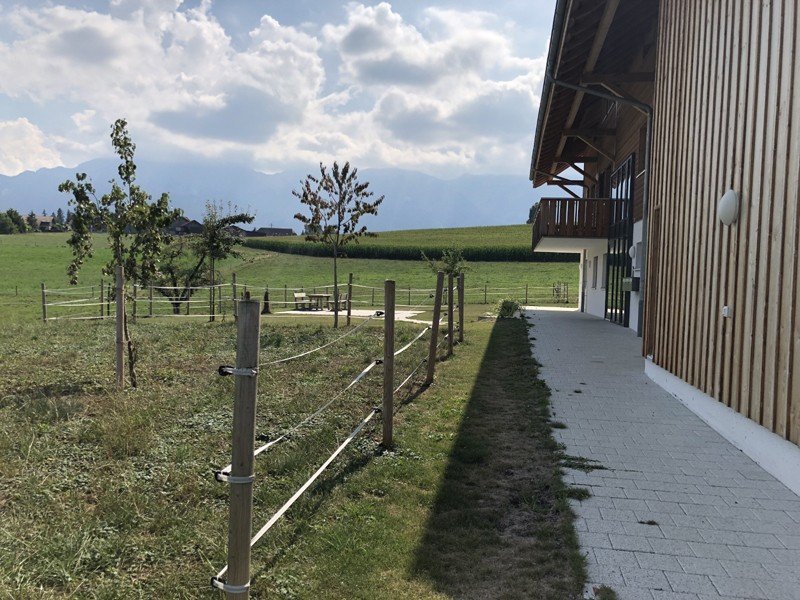 Foto 6 di Bühl 401, Uetendorf