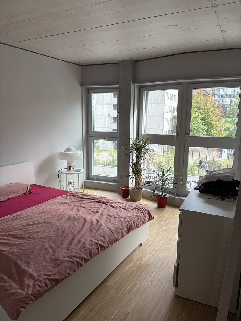 Foto 4 di Birmensdorferstrasse, 485, Zürich