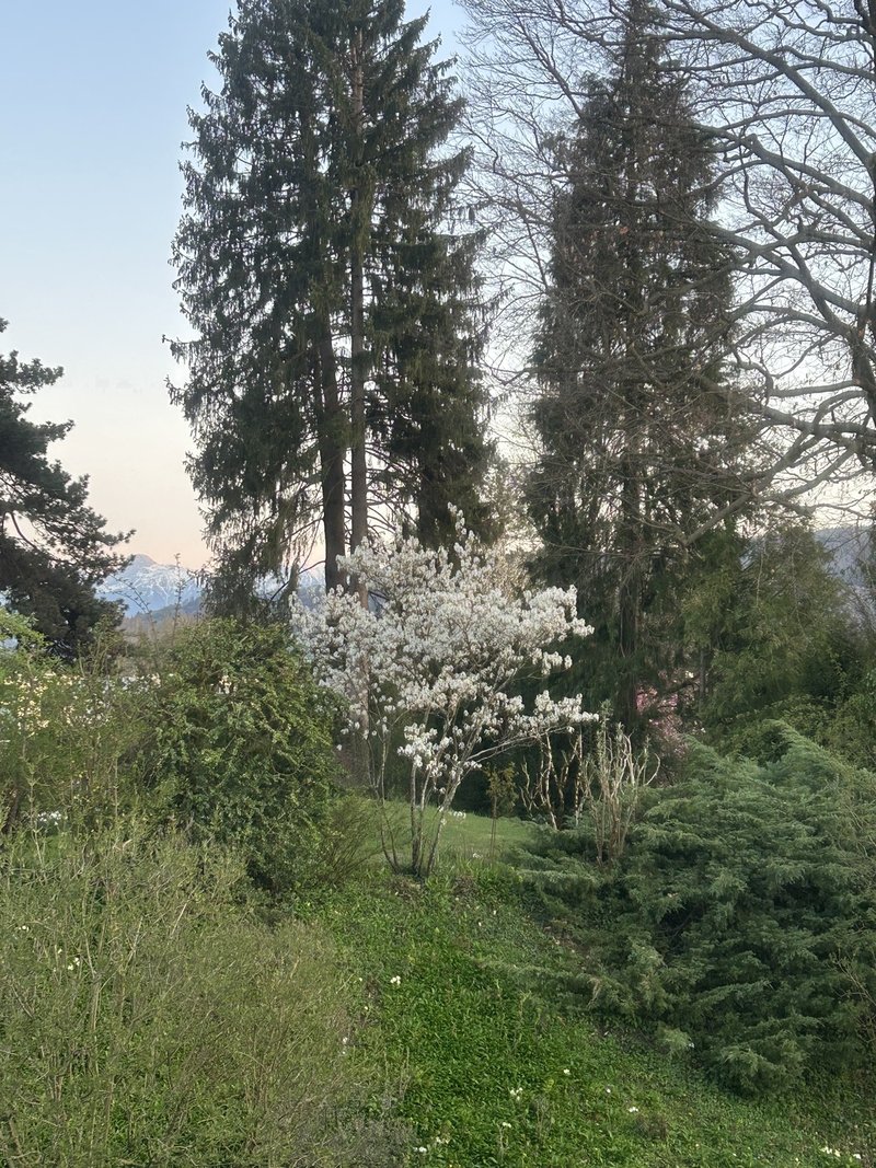 Foto 2 di Muri Bei Bern