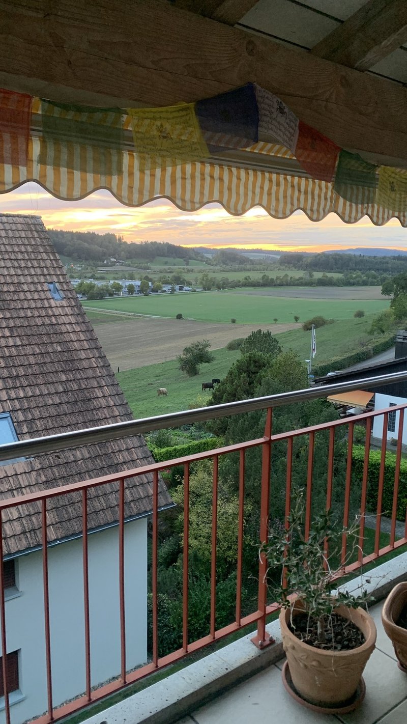 Foto 7 von Wettswil am Albis