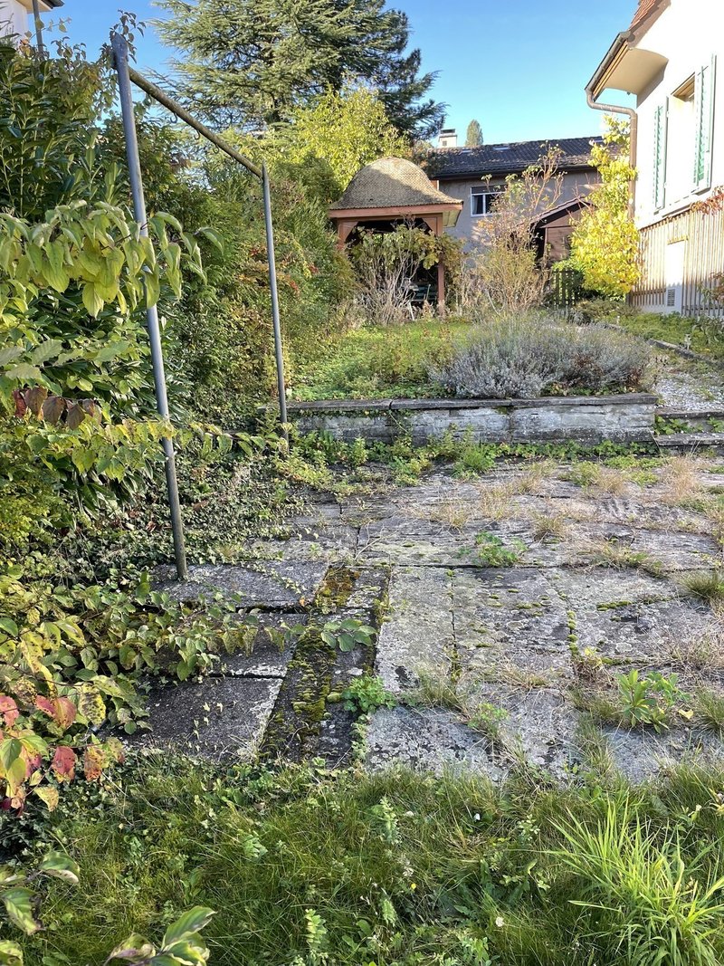 Foto 7 von Thalwil