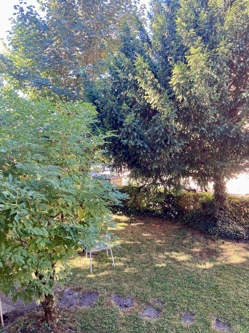 Photo 6 of Nidau