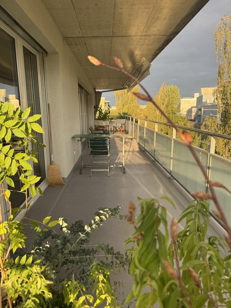 Photo 8 of Zurich