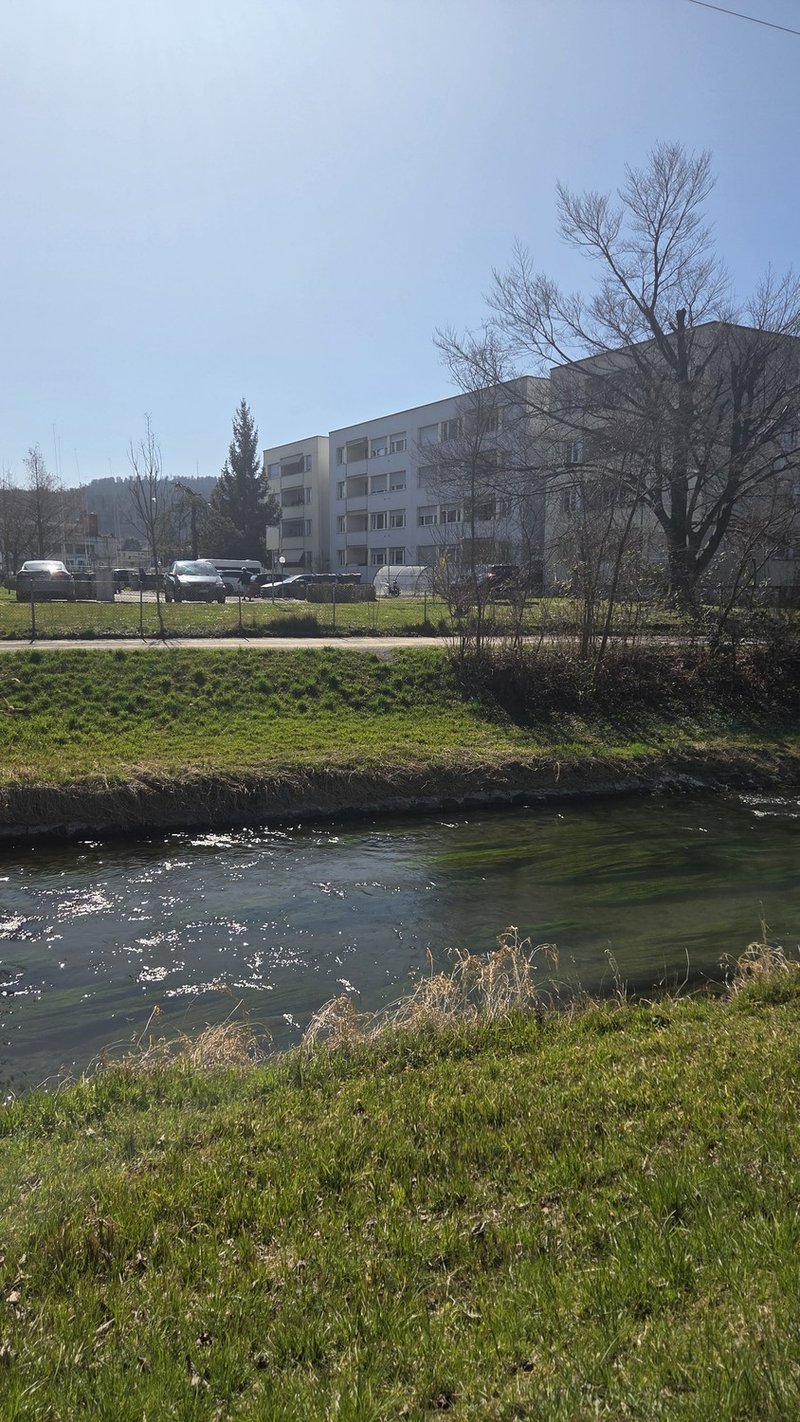 Photo 3 of Zurich