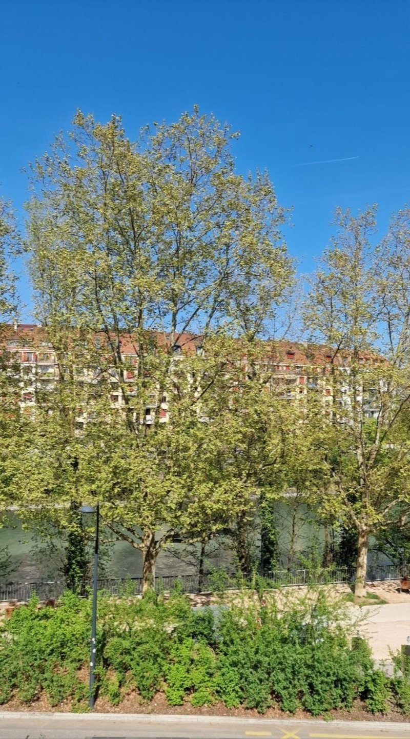 Foto 5 von Carouge