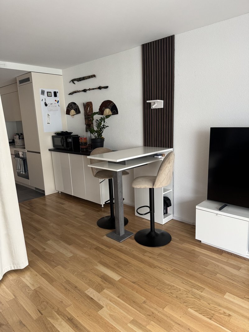 Foto 1 di Schaffhauserstrasse 453, Zürich-Seebach