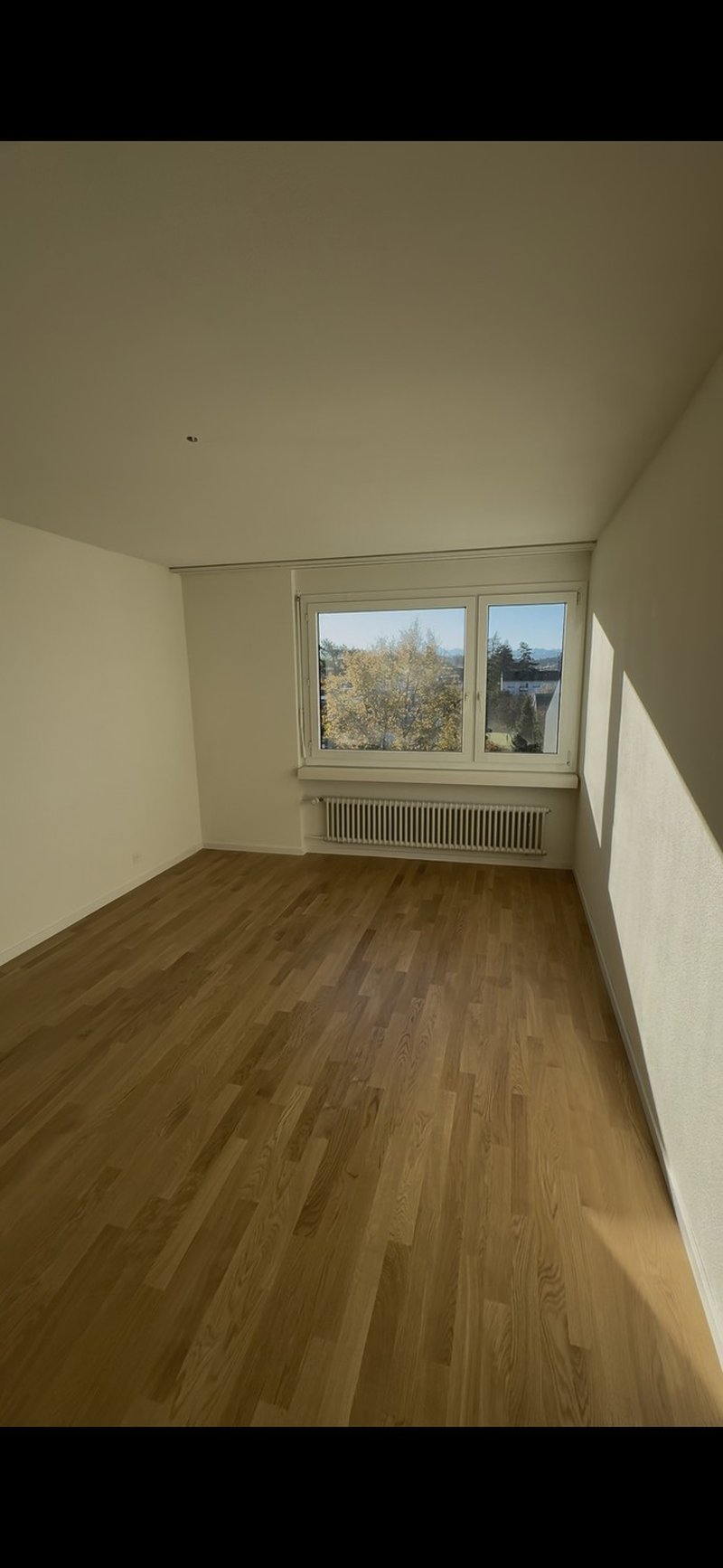 Foto 1 von Zürich