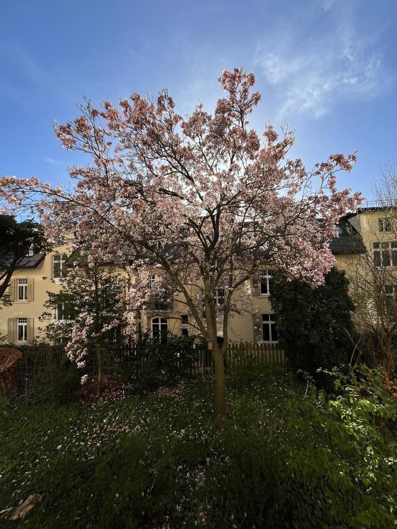 Foto 2 von Sonneggstrasse, ZH