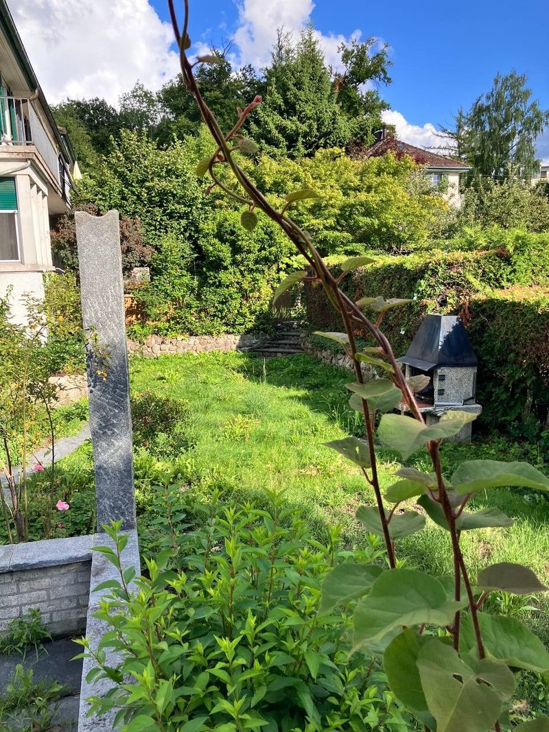 Foto 3 von Zürich