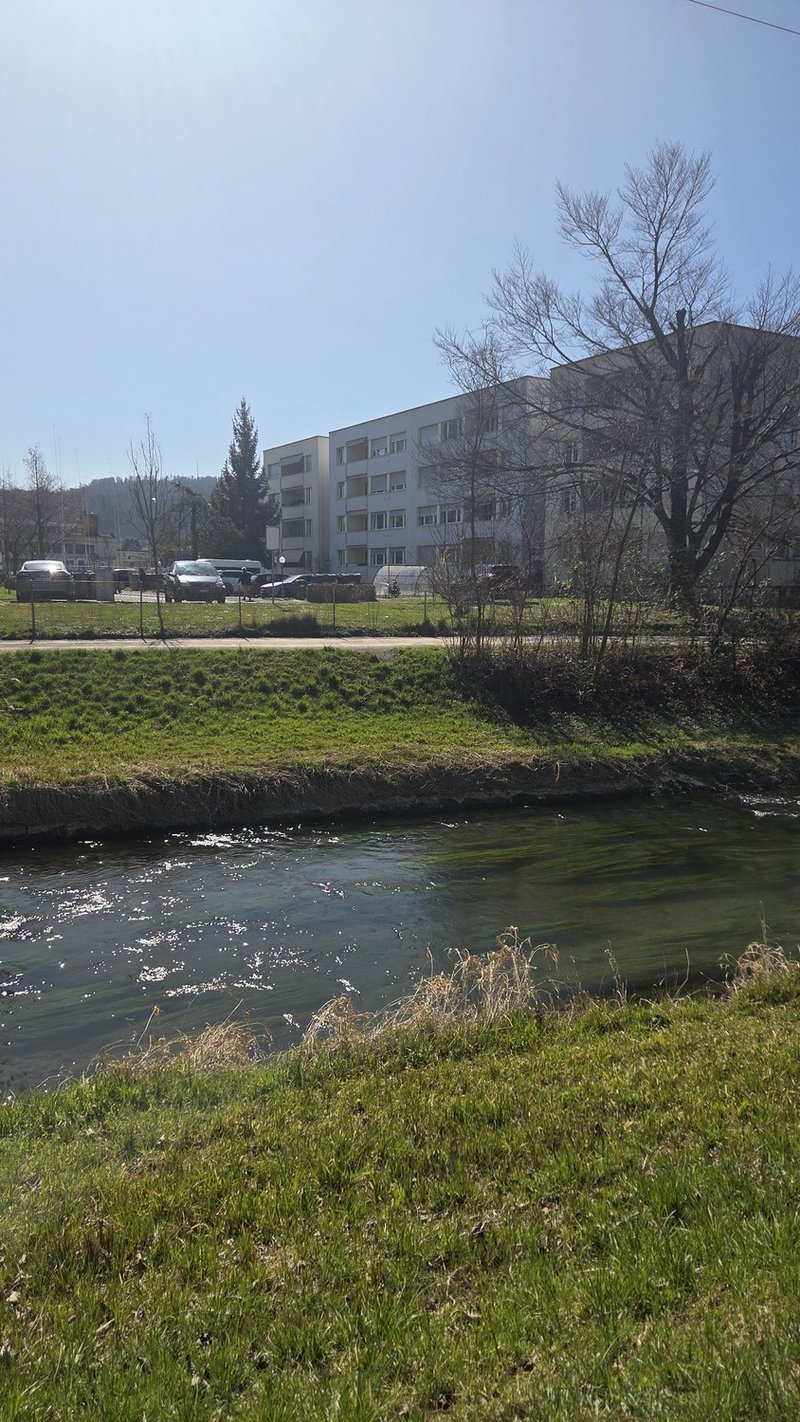 Photo 3 de Zurich