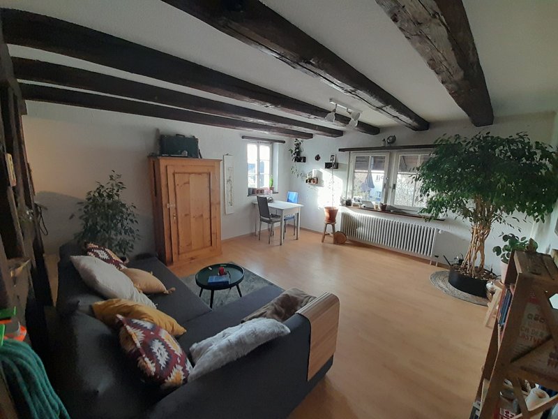 Foto 2 von Holzrai 4, Wangen
