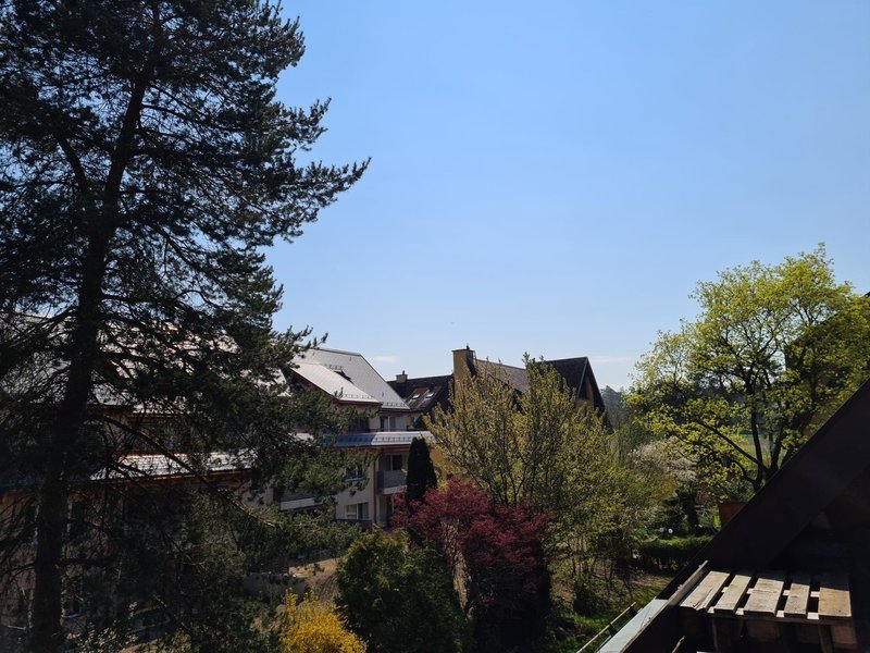 Foto 2 von Zürich