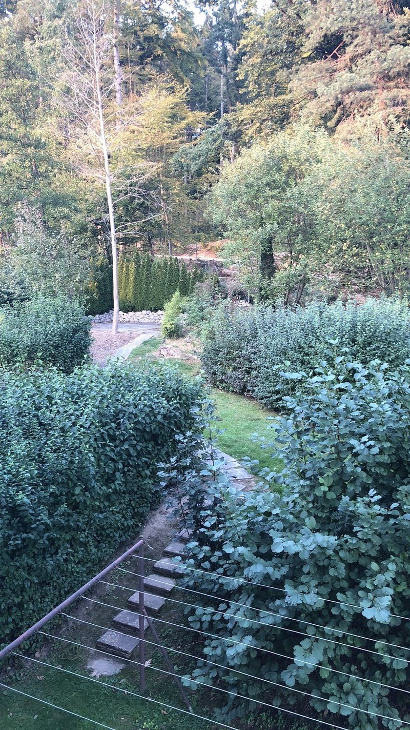 Foto 8 di Waldpark 23, Oftringen