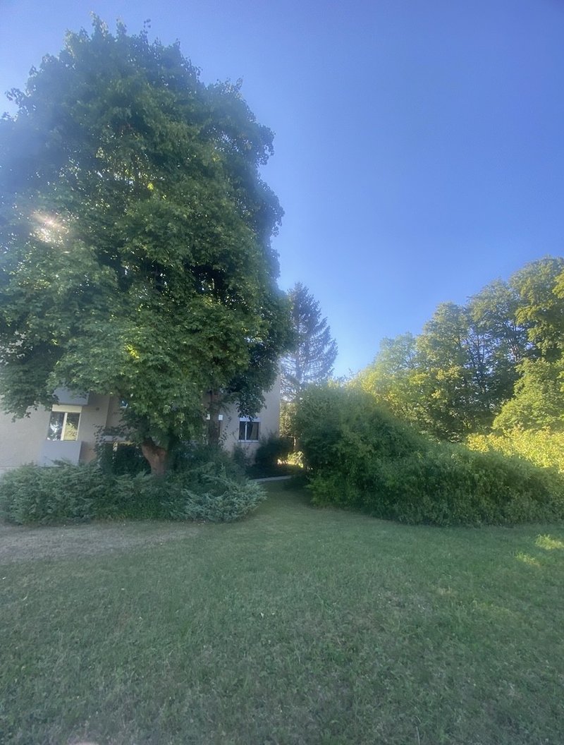 Foto 7 von Buchholzstrasse 67, Zürich