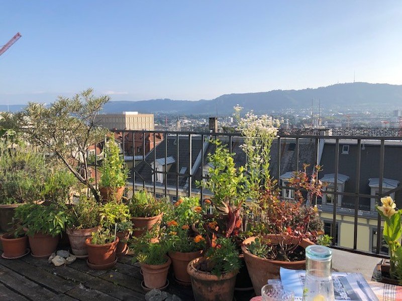 Photo 2 de sonneggstrasse, zürich