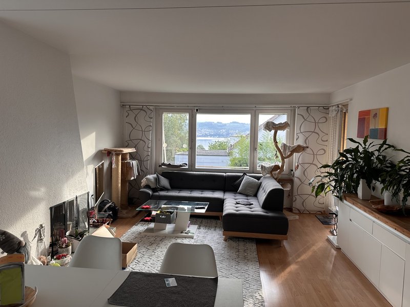 Foto 1 di Glärnischstrasse 141, Männedorf
