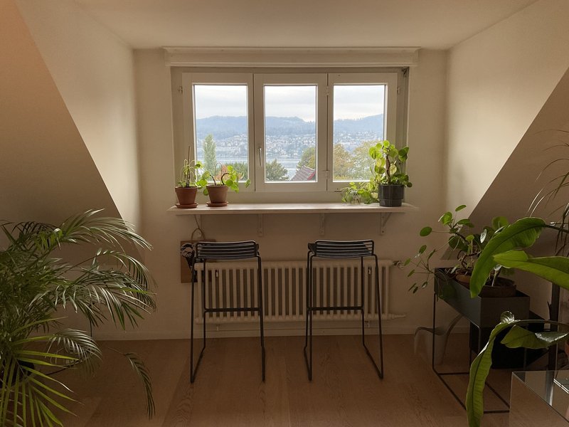 Foto 1 von Seestrasse 5, Erlenbach